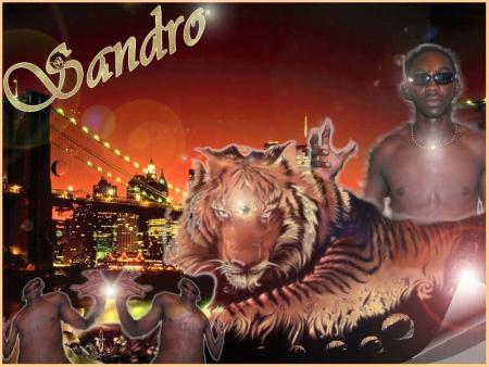 SandrO